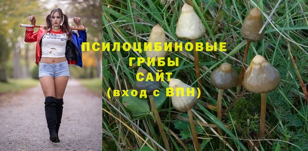 сатива Кукмор