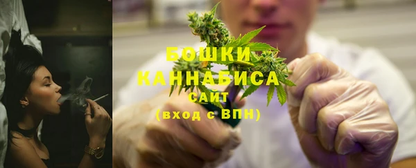 2c-b Краснослободск