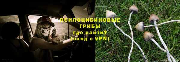 сатива Кукмор