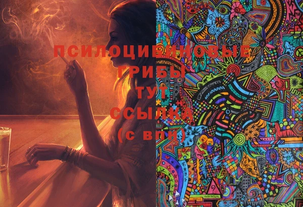 дживик Березники